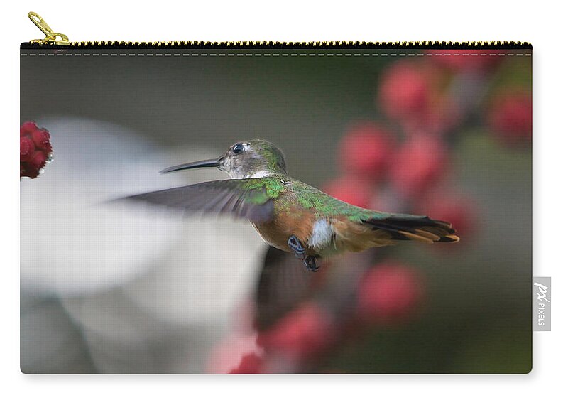 Hummingbird Zip Pouch featuring the photograph Humming Bird between flowers by Montez Kerr