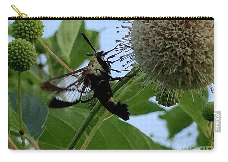 Hummingbird Zip Pouch featuring the photograph Hummingbird moth by Catherine Wilson