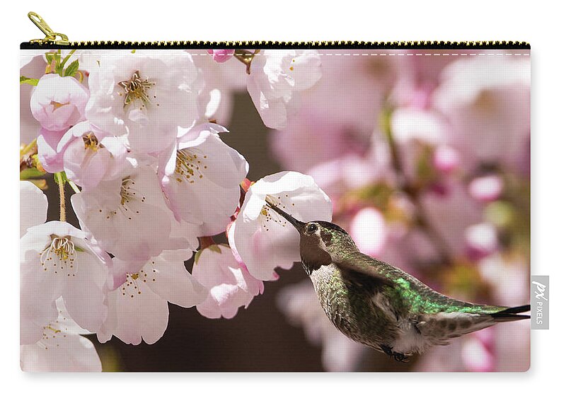 Cherry Blossom Pouch