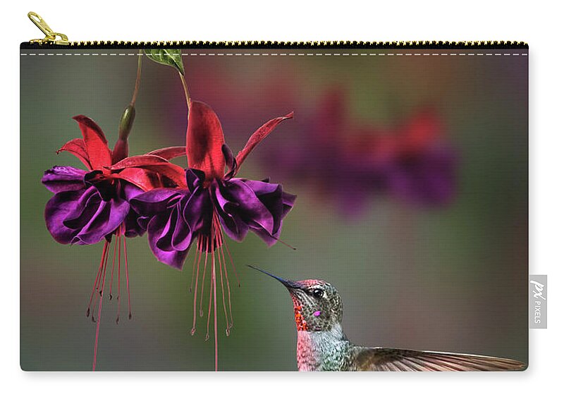 Hummingbird Zip Pouch featuring the photograph Hummingbird and Fuchsia by Endre Balogh