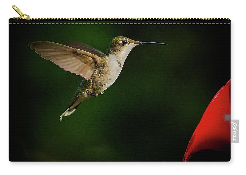 Approaching Zip Pouch featuring the photograph Hummingbird Closes in on Feeder by Charles Floyd