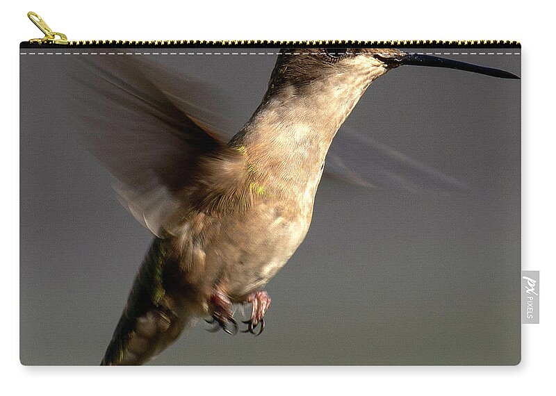 Hummingbird Zip Pouch featuring the photograph Hummingbird hoovering II by Paul Vitko
