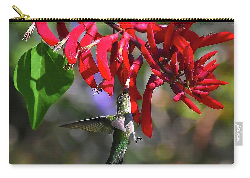 Hummingbird Zip Pouch featuring the photograph Hummingbird in the Red by Kerri Farley