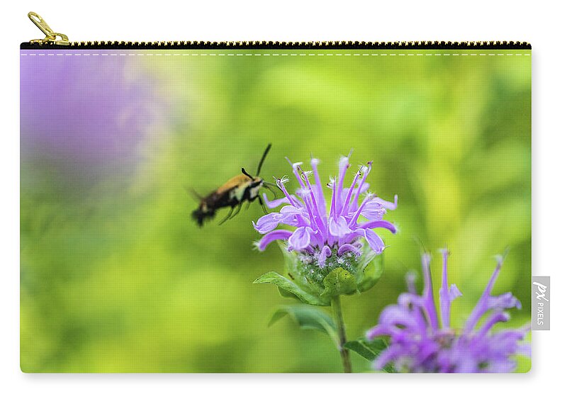 Plants Zip Pouch featuring the photograph Hummingbird Moth - Delaware Water Gap by Amelia Pearn