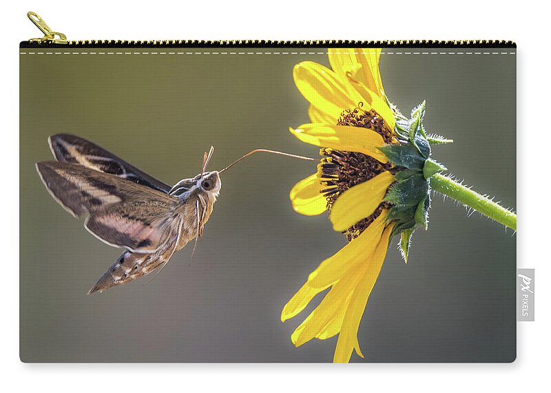 Hyles Lineata Zip Pouch featuring the photograph Hummingbird Moth Gathering Nectar by Debra Martz