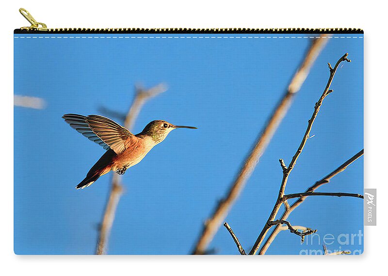 Hummingbird Zip Pouch featuring the photograph Hummingbird by Thomas Nay