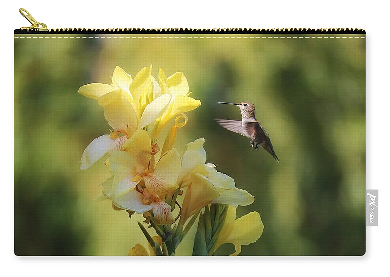 Hummingbird Zip Pouch featuring the photograph Hummingbird with Yellow Canna Lily 6 Square by Carol Groenen