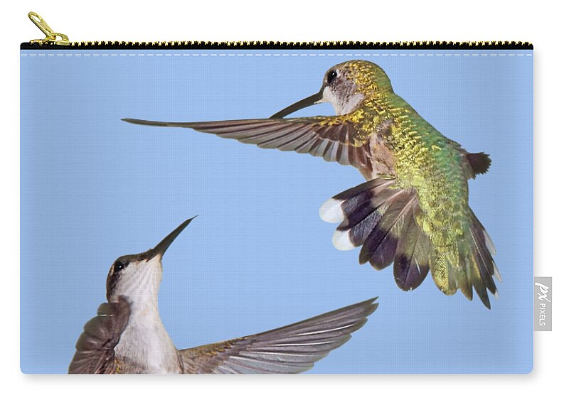 Hummingbirds Zip Pouch featuring the photograph Hummingbirds - Defensive Dance by Nikolyn McDonald