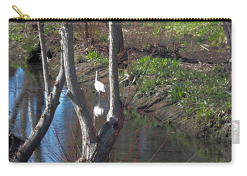 Animal Zip Pouch featuring the photograph Hungry Egret by Richard Thomas