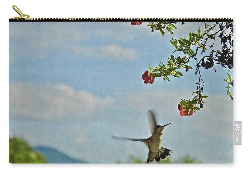 Hungry Hummingbird Zip Pouch featuring the photograph Hungry Hummingbird by Kathy Chism