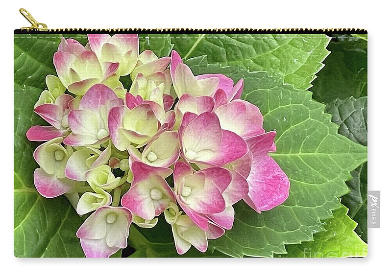 Spring Zip Pouch featuring the photograph Hydrangea by Cathy Donohoue