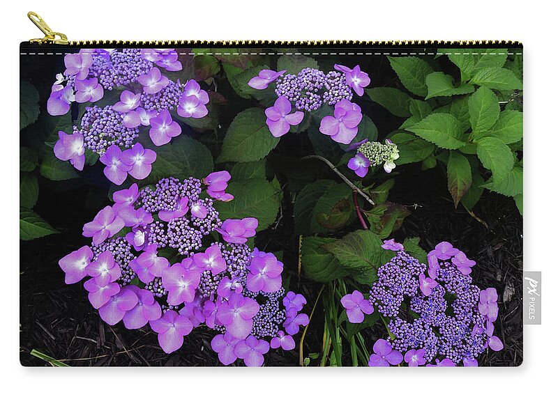 Purple Zip Pouch featuring the photograph Hydrangea Flowers by Scott Cameron