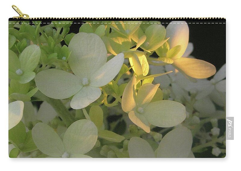 Hydrangea Carry-all Pouch featuring the digital art Hydrangea in Sunlight by Nancy Olivia Hoffmann