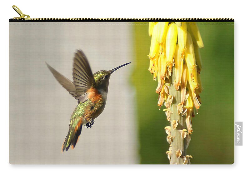 Humming Bird Zip Pouch featuring the photograph I Believe I can Fly by Montez Kerr
