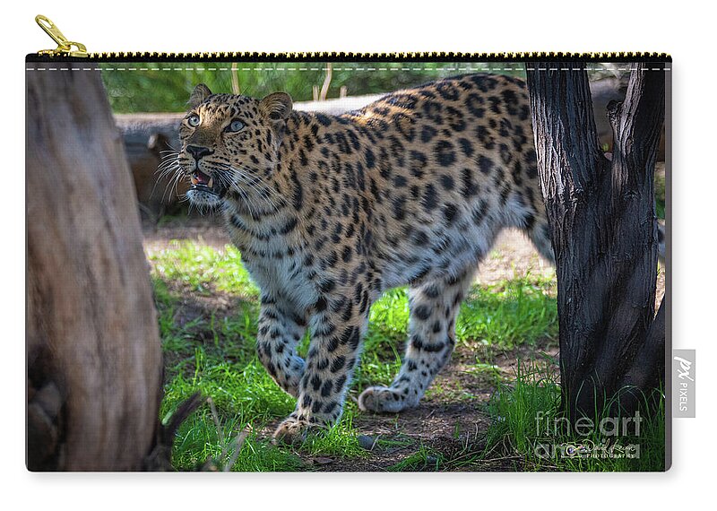 Cat Zip Pouch featuring the photograph I See Food by David Levin
