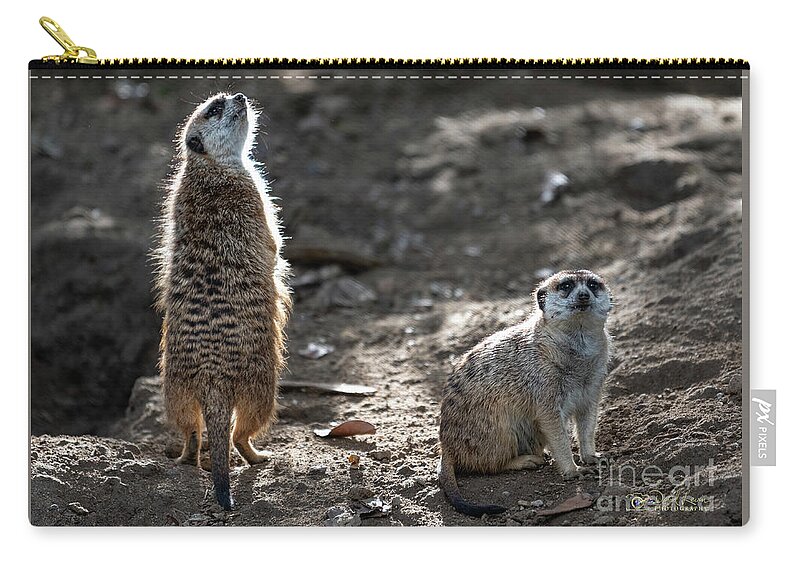 Brown Zip Pouch featuring the photograph I Smell Food by David Levin