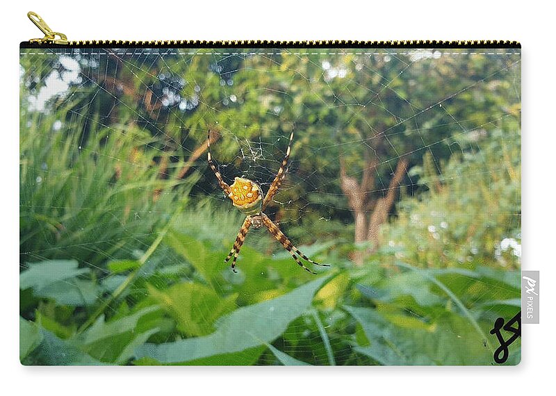 Spider Zip Pouch featuring the photograph I Web You by Esoteric Gardens KN