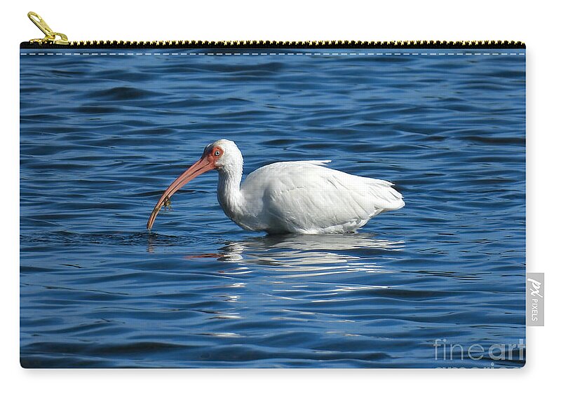 Ibis Zip Pouch featuring the photograph Ibis Fishing by Beth Myer Photography