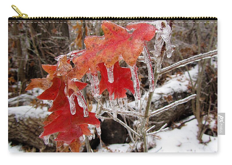 Fstop101 Ice Winter Nature Coated Red Leaves Leaf Zip Pouch featuring the photograph Ice Covered Leaves by Geno Lee