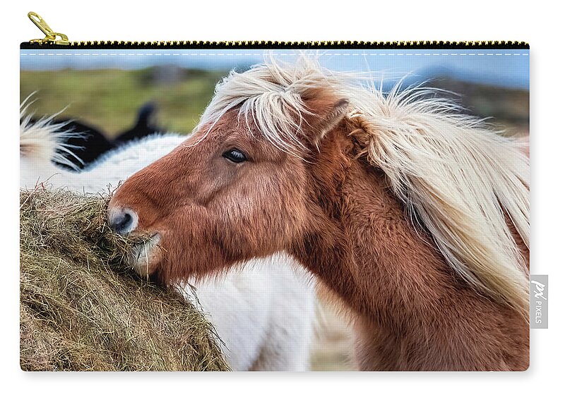 Iceland Zip Pouch featuring the photograph Icelandic Farm Horse by Gary Johnson