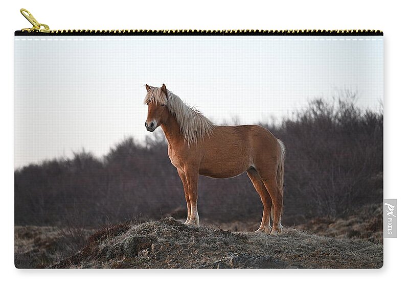 Iceland Zip Pouch featuring the photograph Icelandic Horse Brown Blonde by William Kennedy