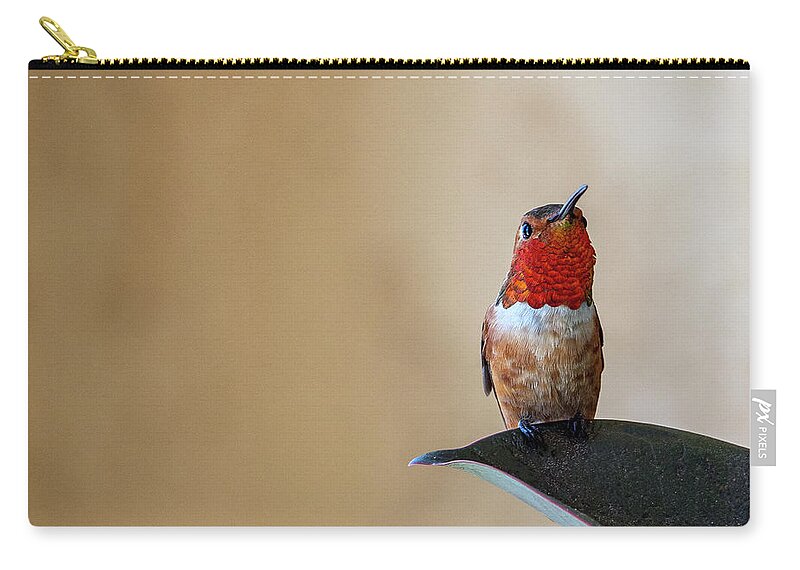 Hummingbirds Zip Pouch featuring the photograph Don't Know What That Is But I'm Gonna Eat It by Joe Schofield