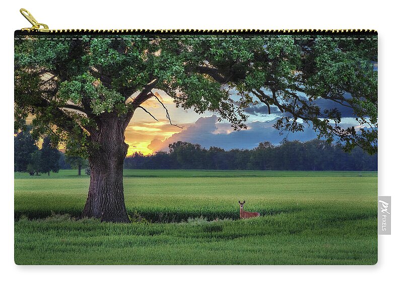 Deer Doe Sunset Wheat Green Oak Tree Scenic Landscape Horizontal Stoughton Dane County Wisconsin Field Barley Evening Tranquil Idyllic Relaxing Peaceful Carry-all Pouch featuring the photograph Idyllic - Oak tree sheltering white-tail doe in wheat field near Stoughton WI by Peter Herman