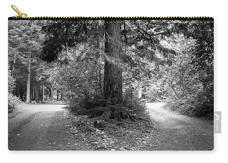 Tree Zip Pouch featuring the photograph If You See a Fork in the Road, Take It by Mary Lee Dereske