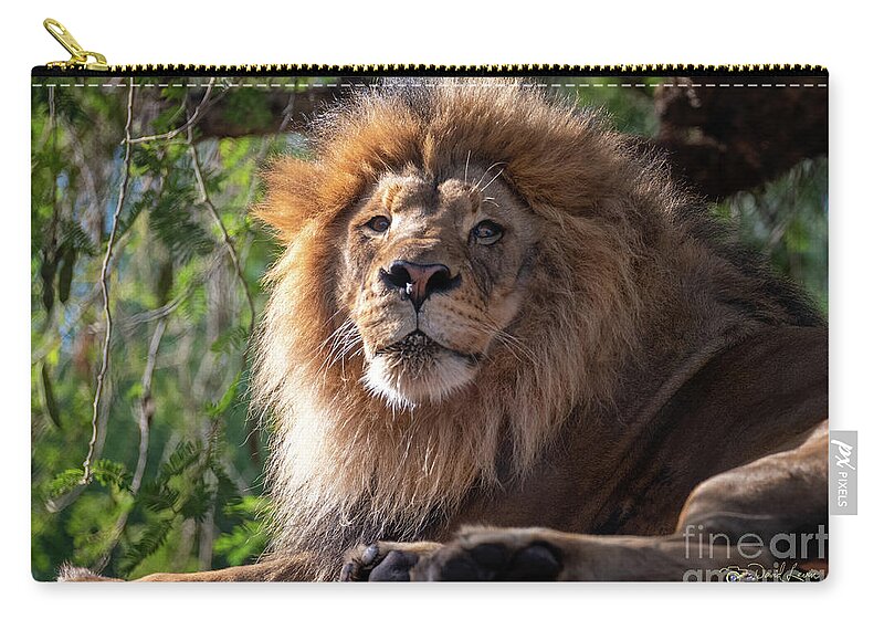 David Levin Photography Zip Pouch featuring the photograph I'm Looking at You by David Levin