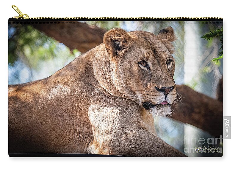 Cat Zip Pouch featuring the photograph I'm Not Watching You by David Levin