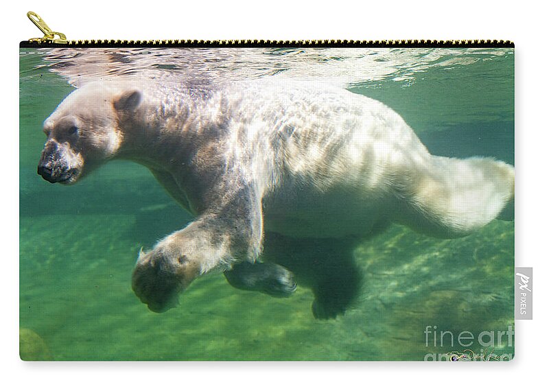 David Levin Photography Zip Pouch featuring the photograph I'm Swimming as Fast as I Can by David Levin