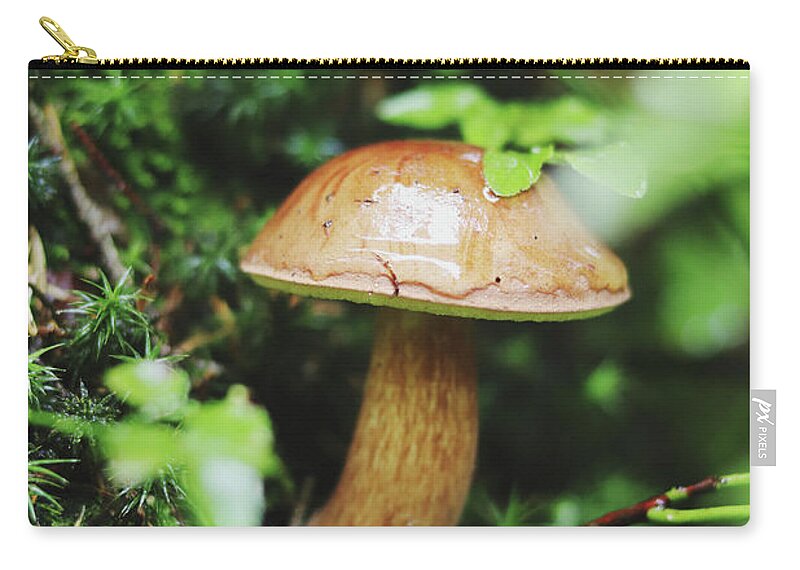 Hand Carry-all Pouch featuring the photograph Imleria badia is squatting in the undergrowth. by Vaclav Sonnek