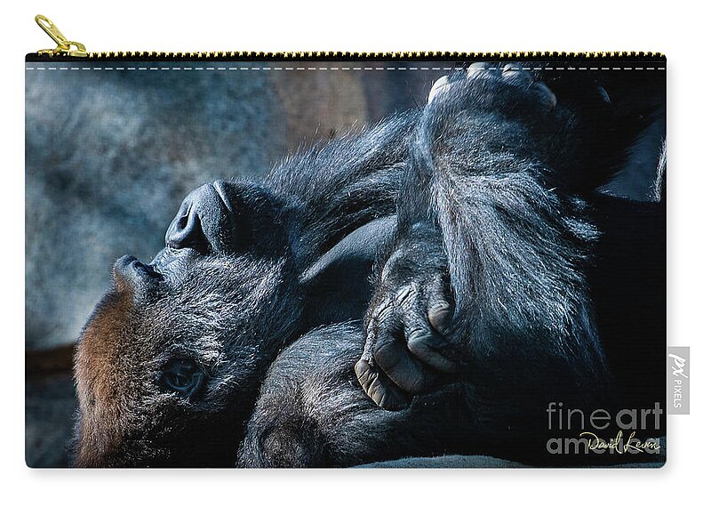 Animals Zip Pouch featuring the photograph In Deep Thought by David Levin