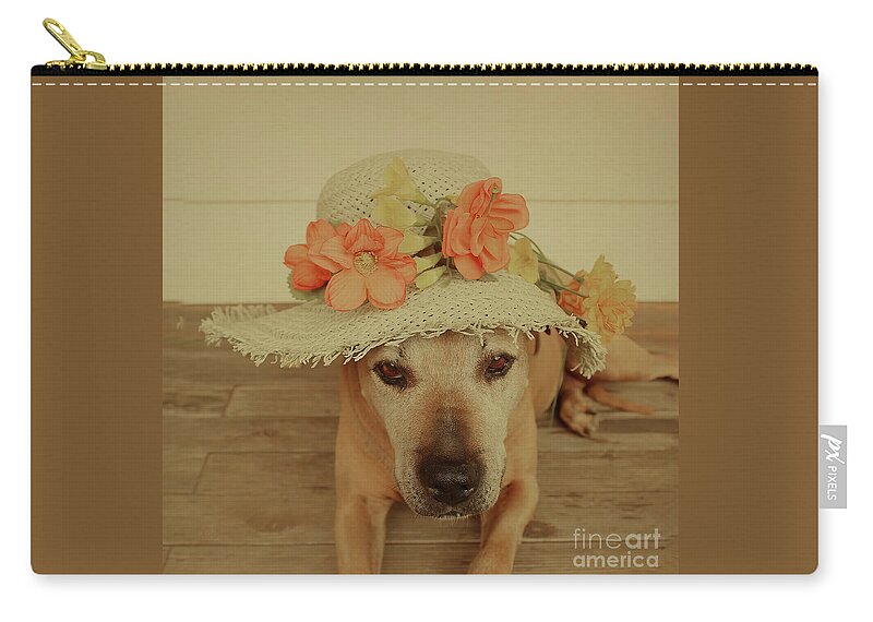 Animal Zip Pouch featuring the photograph In My Easter Bonnet by Elaine Teague