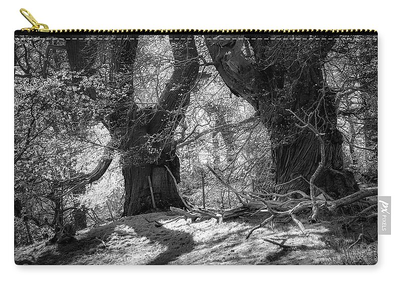 Landscape Zip Pouch featuring the photograph In the moonlight 3 by Remigiusz MARCZAK
