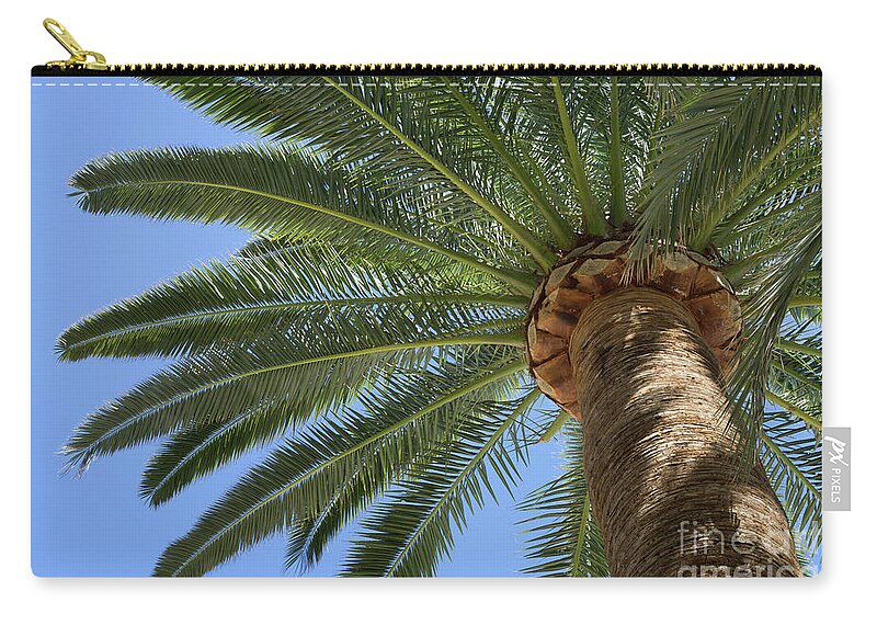 Palm Leaves Zip Pouch featuring the photograph In the shade of a tall palm tree, summer on the beach by Adriana Mueller