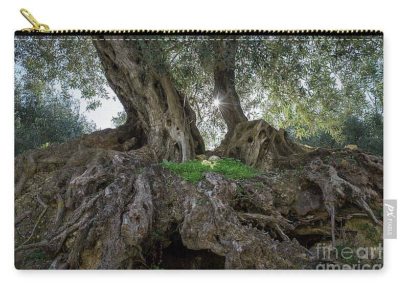Olive Carry-all Pouch featuring the photograph In the shade of the olive tree by Adriana Mueller