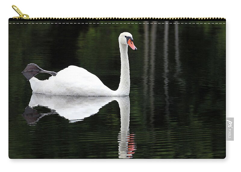 Petoskey Zip Pouch featuring the photograph In the Shadows of the Lake by Robert Carter