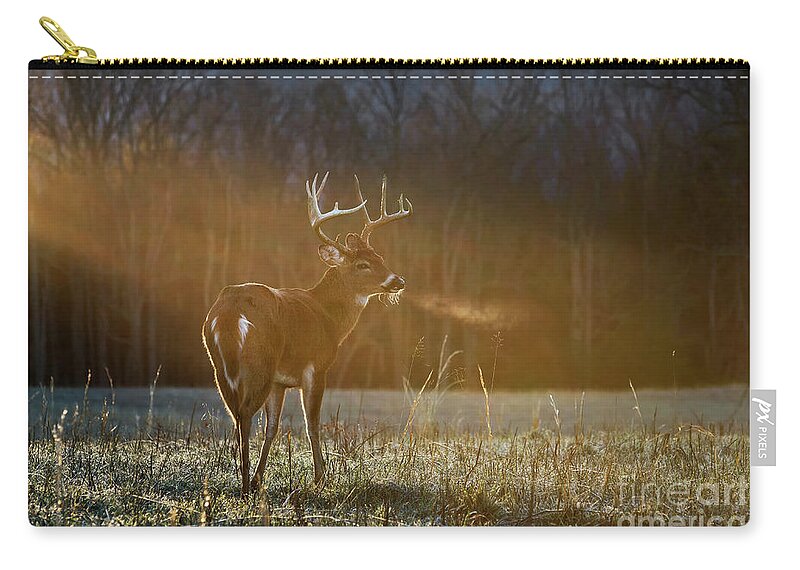 Buck Zip Pouch featuring the photograph In the Spotlight by Anthony Heflin