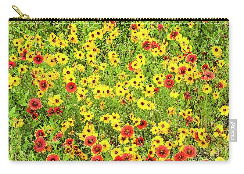 Dave Welling Zip Pouch featuring the photograph Indian Blanketflowers And Coreopsis Texas by Dave Welling