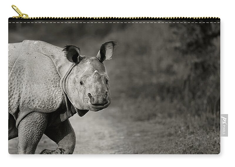 Indian Rhinoceros Zip Pouch featuring the photograph Gentle Gaze by Puttaswamy Ravishankar