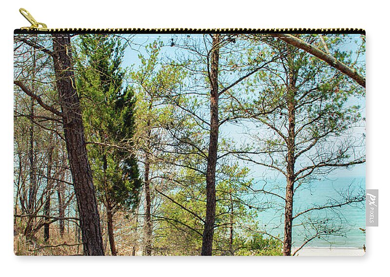 Indiana Dunes National Lakeshore Zip Pouch featuring the photograph Indiana Dunes Beach Forest Ecosystem by Kyle Hanson