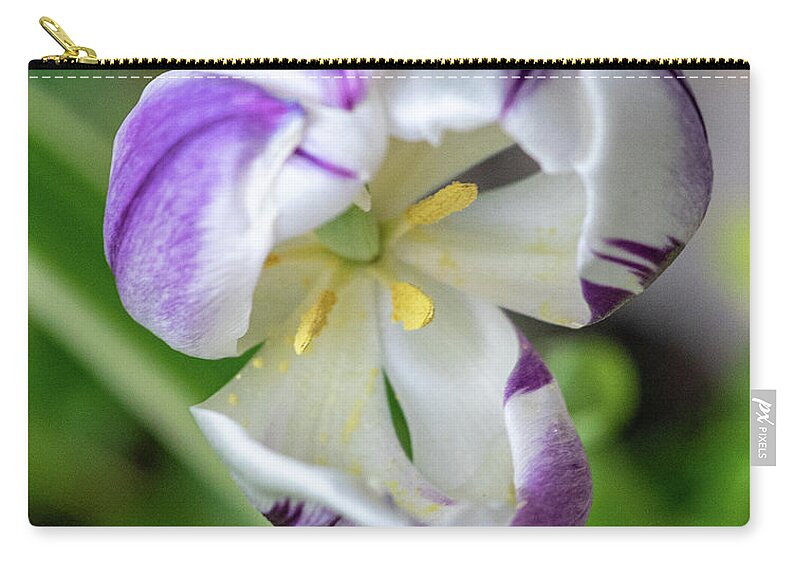 Tulips Zip Pouch featuring the photograph Inside Story by Cathy Donohoue