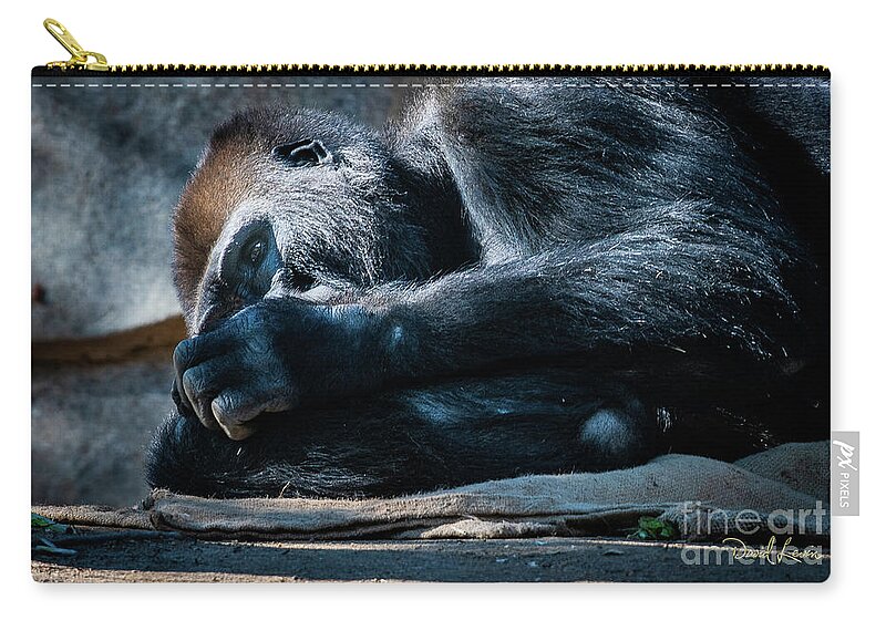 Animals Zip Pouch featuring the photograph Insomnia by David Levin