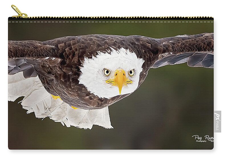 Bird Zip Pouch featuring the photograph Intensity by Peg Runyan
