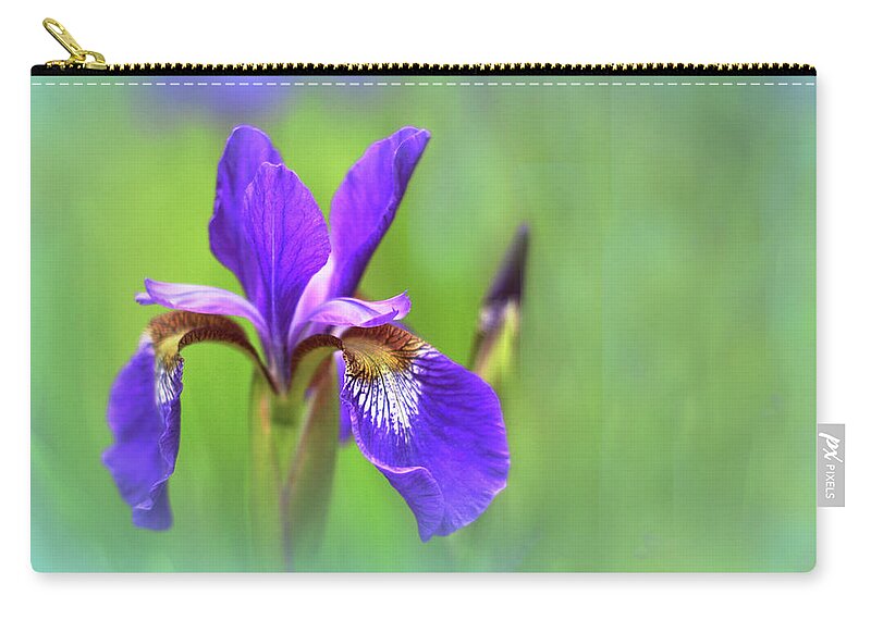 Iris Zip Pouch featuring the photograph Iris Elegance by Jessica Jenney