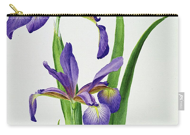 Flower Carry-all Pouch featuring the painting Iris monspur by Anonymous
