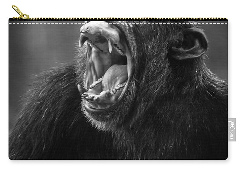 Chimp Zip Pouch featuring the photograph Is Anyone Listening by Bill Cubitt