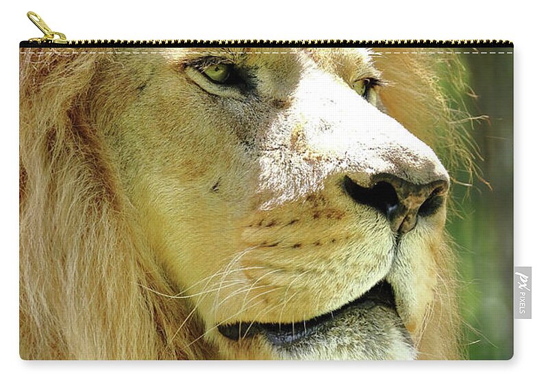 Lion Carry-all Pouch featuring the photograph Is This My Good Side by Lens Art Photography By Larry Trager