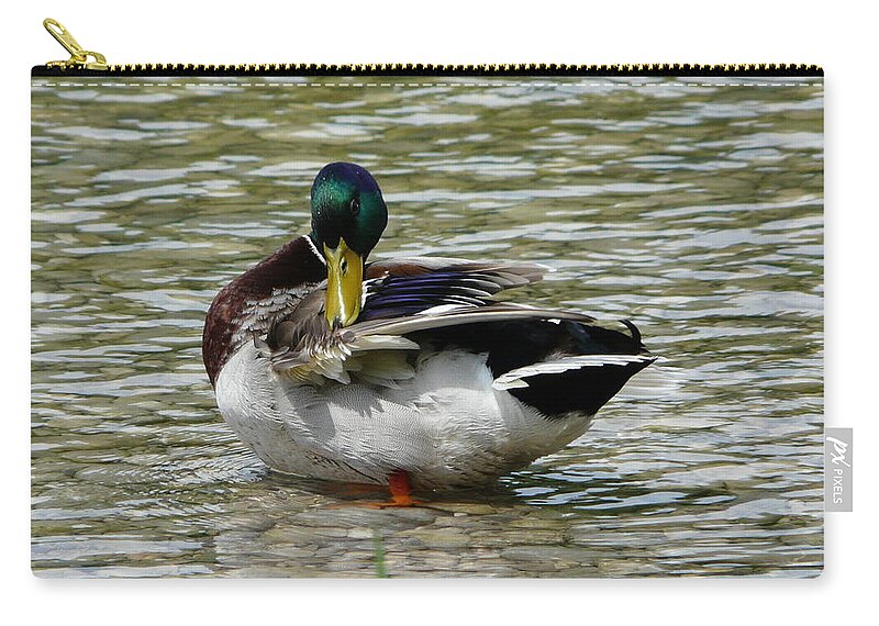 Bird Zip Pouch featuring the photograph Isar Duck by Valerie Ornstein